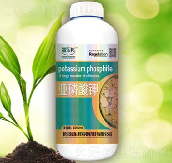 �������-������