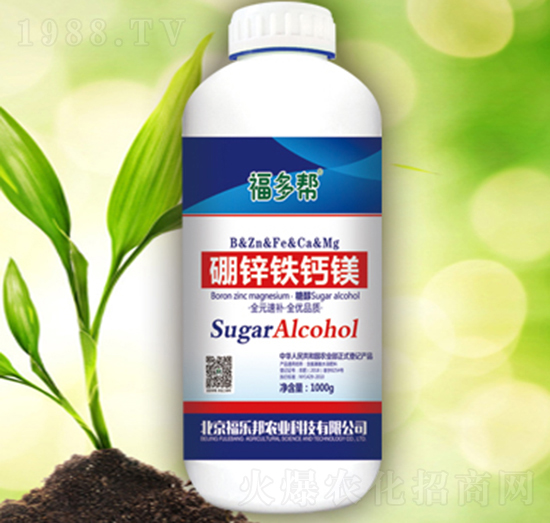 ���\�F�}�V-������