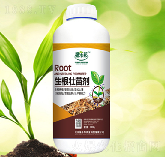 �������焩-������