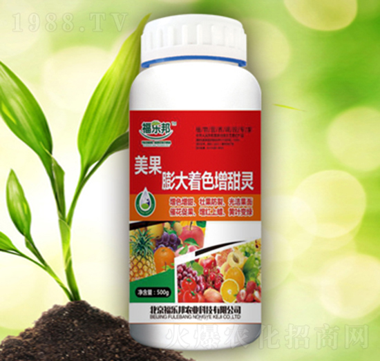 ���������ɫ�����`-������