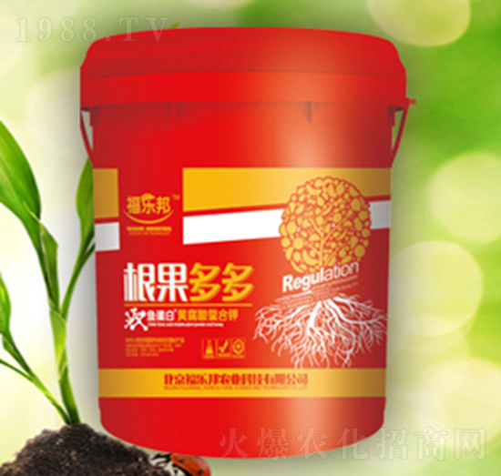 �������-������