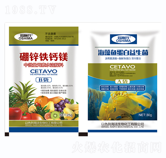 ���\�F�}�V+�����~����������-һ������