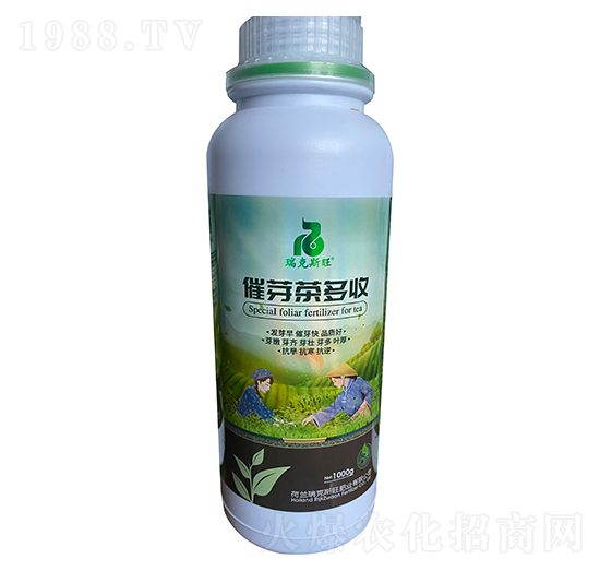 催芽茶多收-瑞克斯旺