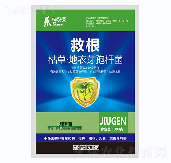 �ݲ�ѿ�ߗU��-�ȸ�-��(zh��n)܇(ch��)