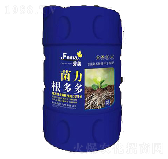 菌力根多多-龍燈