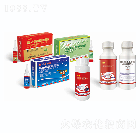 25��ÿ����Ч�������-����+�{(l��n)�������@-�{(l��n)��Ʒ��