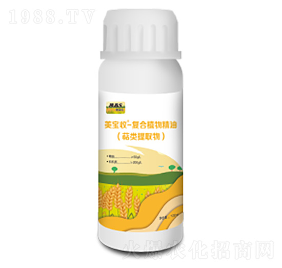 ��(f��)��ֲ�ﾫ��-������-�M������