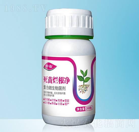 ���砀����-����-�����S