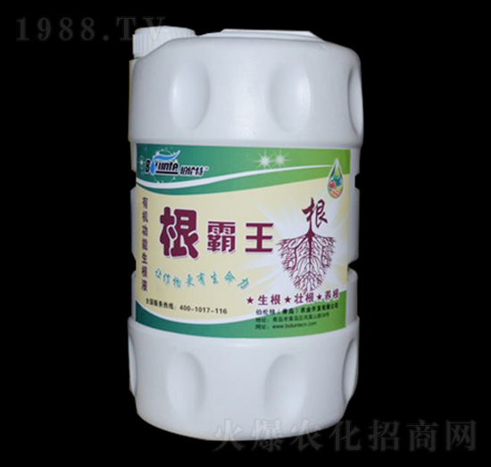 ������-������