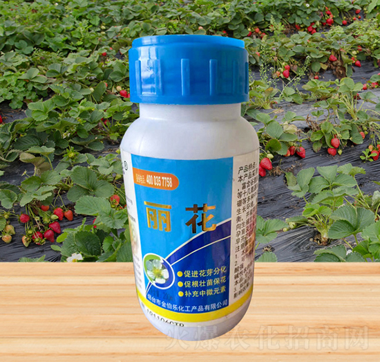 ����-�𲮘�(l��)