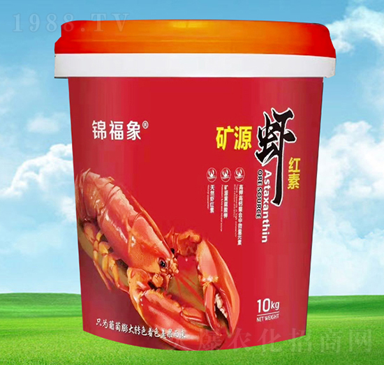 �VԴ�r�t��-�\����-�S���r(n��ng)�I(y��)