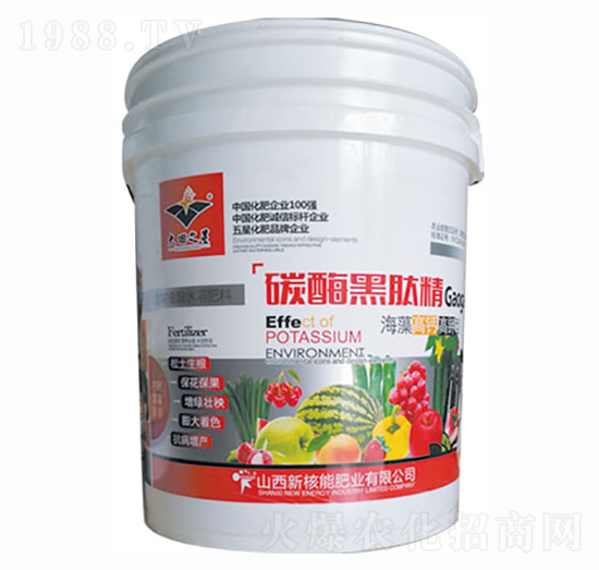 ̼ø���ľ�-�º���