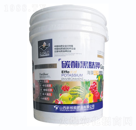 ̼ø�����-�º���