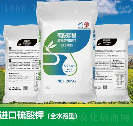 �M������⛣�ȫˮ���ͣ�-����ʘI(y��)