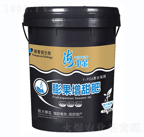 ��������-���н�-�Z����