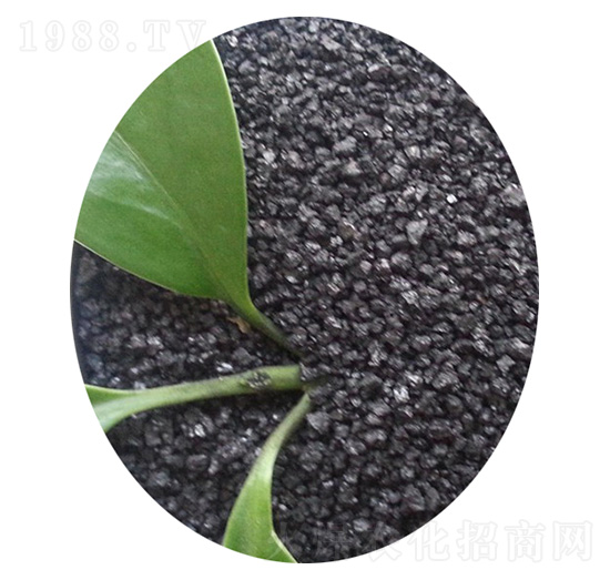 ��ֲ���-�ֵ��S