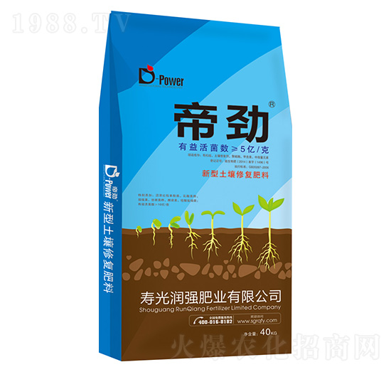 ���������ޏ�(f��)����-�ۄ�