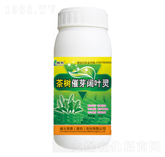 ����ѿ��~�`-�G��-��ʿ�R��