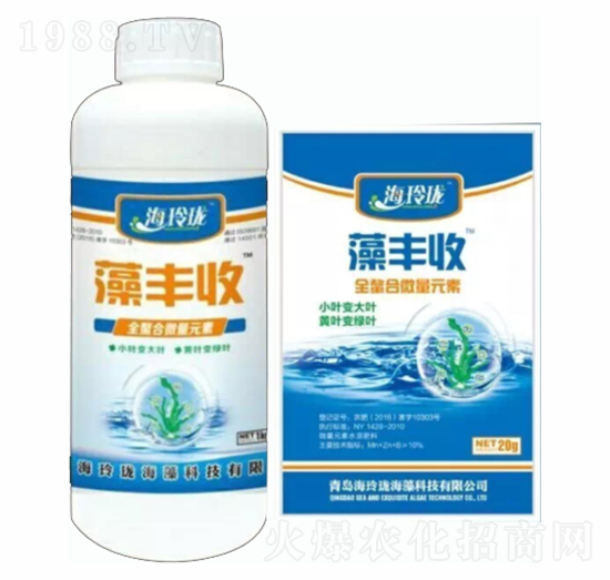 ȫ����΢��Ԫ��-���S��-���ᭇ