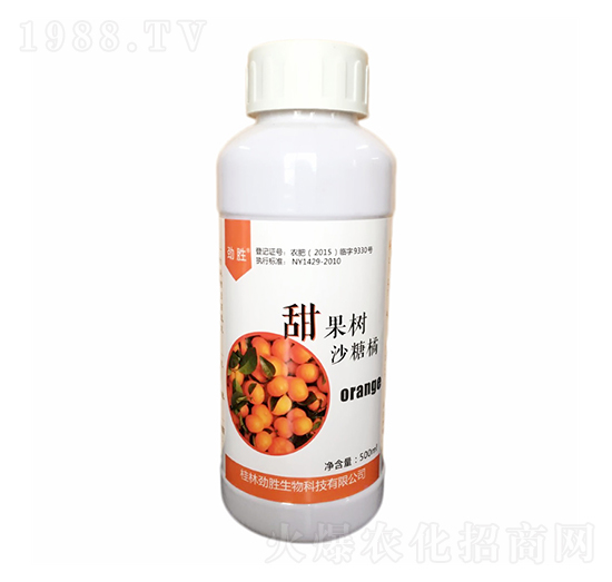 500ml沙糖橘甜果樹-桂開生物