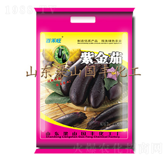 紫金茄-國豐肥業(yè)