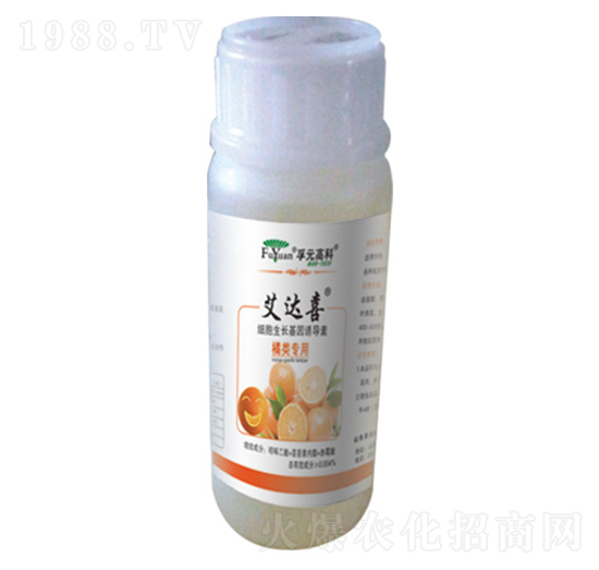 �����-���_ϲ-��Ԫ