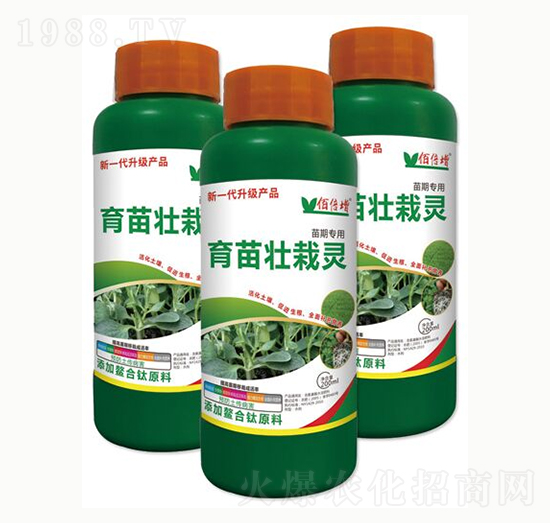 ��������`-�۱���