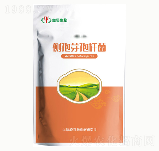 ��(c��)��ѿ�ߗU��-�������