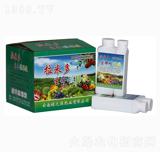 拉米多生命碳酶液-綠之源