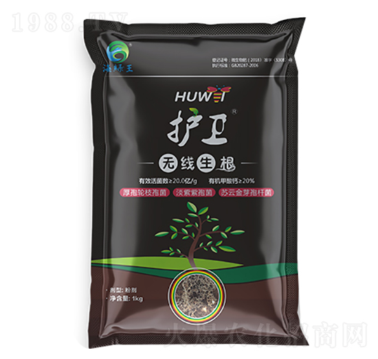 護衛(wèi)·無線生根-海綠王