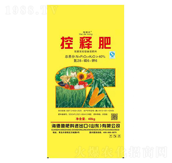 �pĤ��ጓ������28-6-6-�����r-��N����