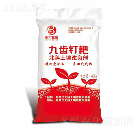 ����������-���Xᔰ�-�W�r����