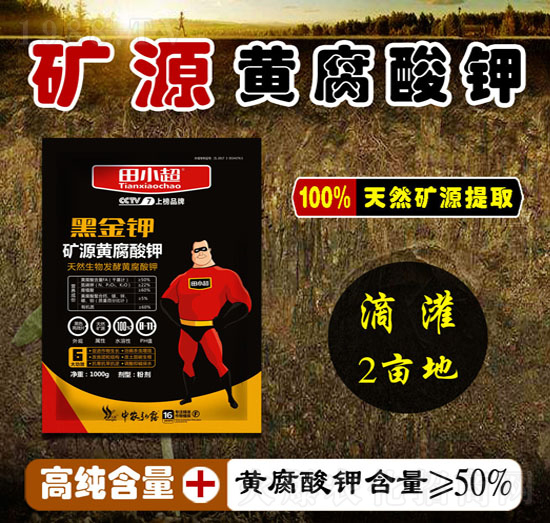 �VԴ�S�����-�ڽ��-��С��