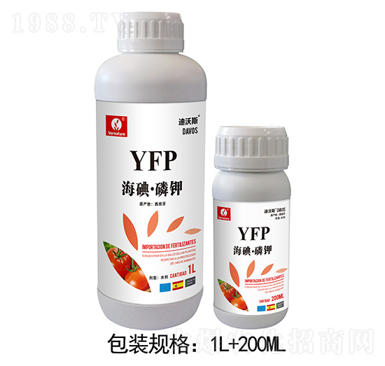 ���⡤���-���Rϣ˹