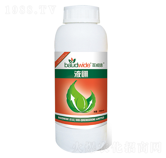 Һ��-������