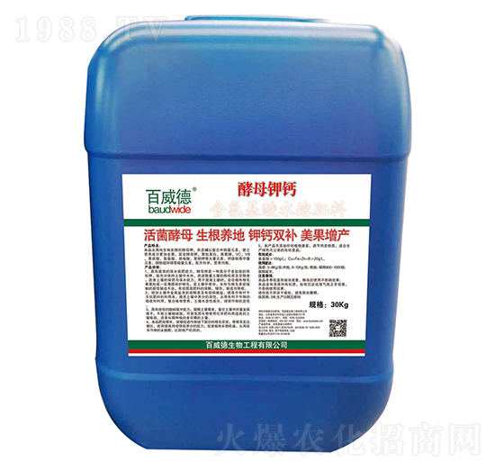 ��ĸ��}-������