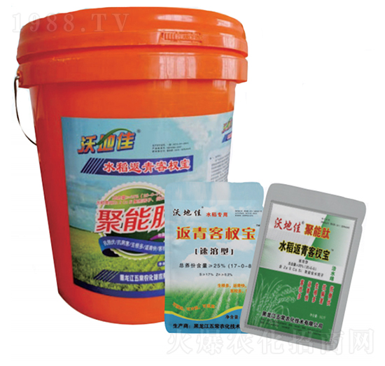 ˮ�������辌�-�ֵؼ�-�峣