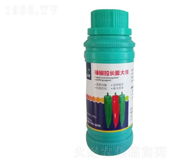 �������L���-�R������