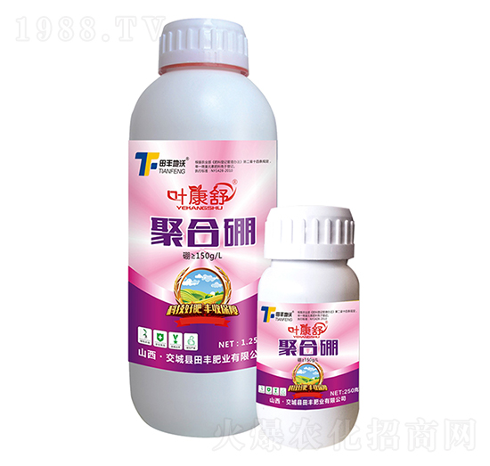 �ۺ���-�~����-���S����