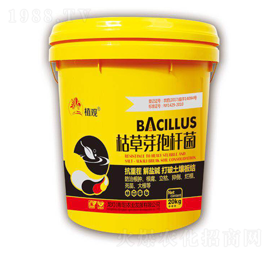 枯草芽孢桿菌-植觀-龍燈農業(yè)