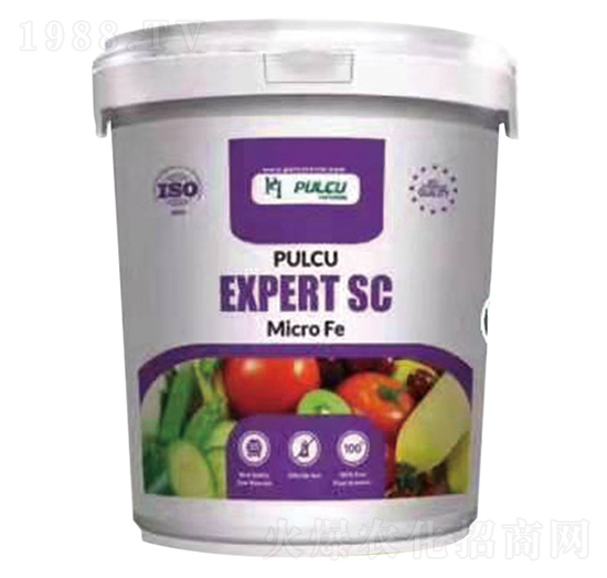 土耳其·普爾卡-奧朗沙