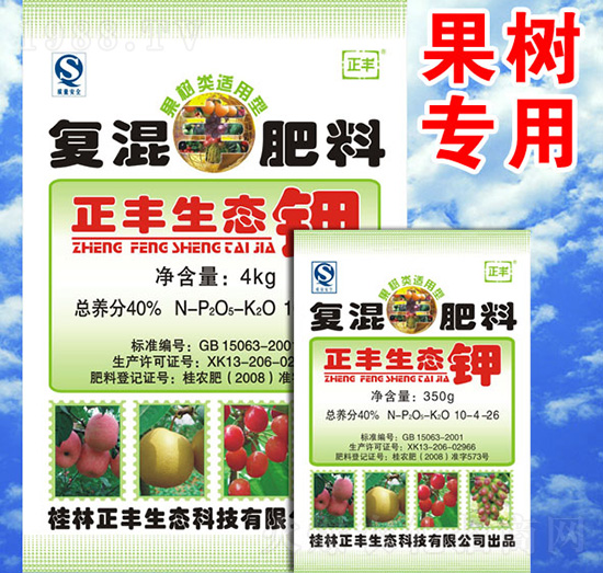 �����(l��i)�m���͏�(f��)�����10-4-26-���S���B(t��i)