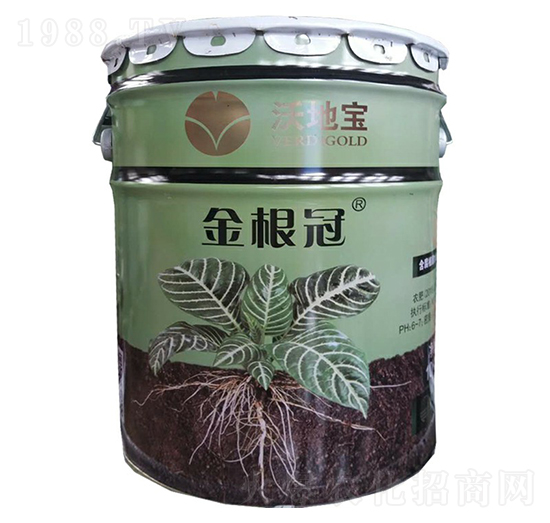 �����-�ֵ،�