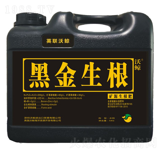 �VԴ�S�����(f��)��������-�ڽ�����-���L