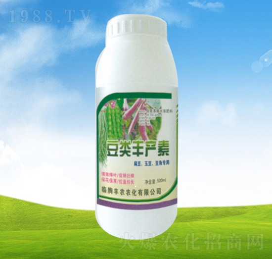 ����S�a��-ֲ��-�S�r�r��