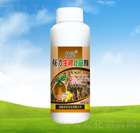 �����������焩��ƿ��-ֲ��-�S�r(n��ng)�r(n��ng)��