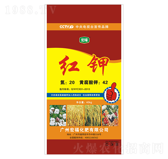 �t�-�������