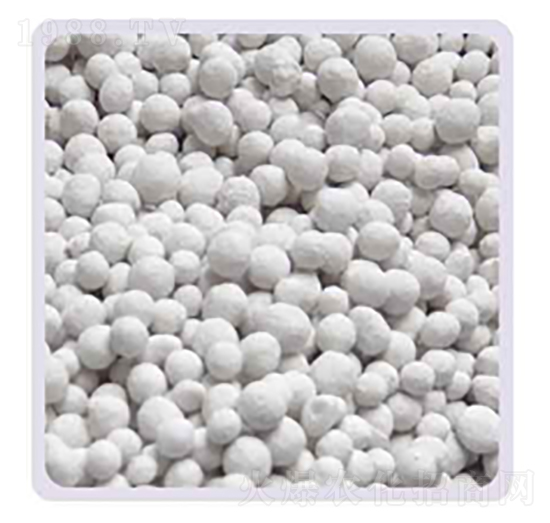 ���׏ͺϷ�20-20-���P����