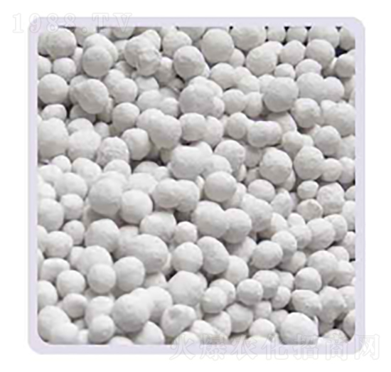 ���׏ͺϷ�23-21-4S-���P����