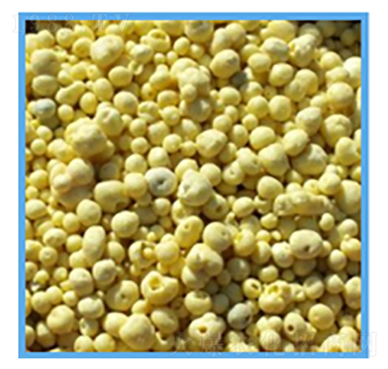 �w�����-���P����